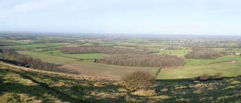 summer qt thumb nail image